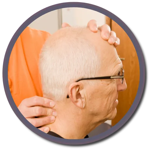 Gonstead Visualization